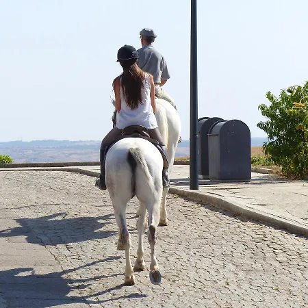Casa Castas Wine Farm stay