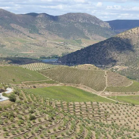 Farm stay Casa Castas Wine